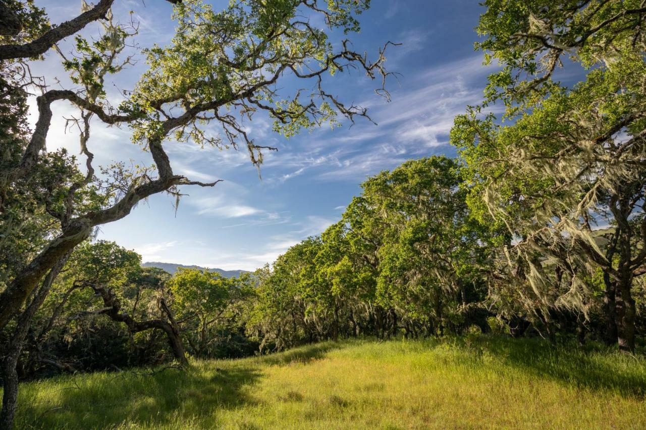 The Camp At Carmel Valley Exterior foto